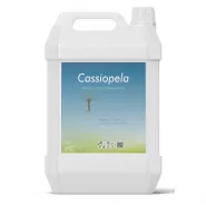 Sıvı Azot Gübresi Cassiopela - 10 Lt