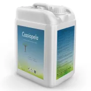 Sıvı Azot Gübresi Cassiopela - 20 Lt