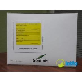 Bourgondia Fasulye Tohumu - 2 Kg