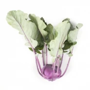 Hibrit Kırmızı Alabaş Tohumu - UKZA RZ F1 - 2.500 Adet Tohum