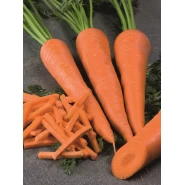 Hibrit Havuç Tohumu - Kamarno F1 - 250.000 Adet Tohum