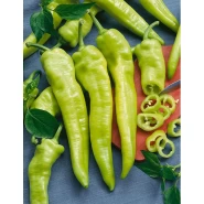 Hibrit Çarliston Biber Tohumu-PAMAYU F1- 5.000 Adet 