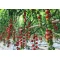 Hibrit Sırık Cherry Domates Tohumu Papier F1 - 1.000 Adet