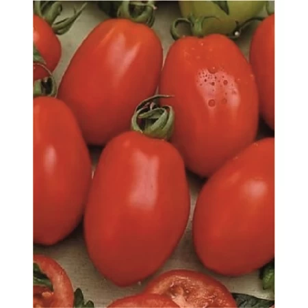Hibrit Salçalık Domates Tohumu - NT-2636 F1 - 1.000 Adet