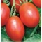 Hibrit Salçalık Domates Tohumu - NT1-3484 F1 - 1.000 Adet 