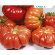 Hibrit Sırık Domates Tohumu - CARNA F1 - 1.000 Adet