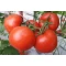 Hibrit Sırık Sofralık Domates Tohumu Palegrow F1 - 2.500 Adet Hibrit Sırık Sofralık Domates Tohumu Palegrow F1 - 2.500 Adet