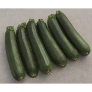 Hibrit Siyah Kabak Tohumu - Modena F1 - 500 Adet