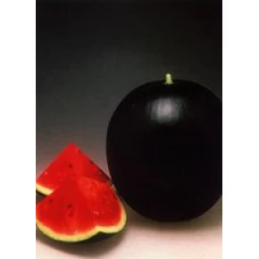 Hibrit Karpuz Tohumu - Pata Negra F1 - 1.000 Adet Tohum