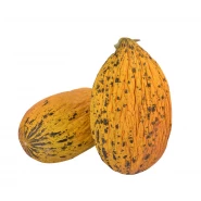 Hibrit Uzun Kırkağaç Kavun Tohumu - NT-4464 - 10.000 Adet Tohum