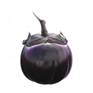 Hibrit Patlıcan Tohumu - SABELLE RZ F1 - 1.000 Adet Tohum