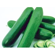 Hibrit Sofralık Hıyar Tohumu - Beith Alpha F1 - 500 Adet Tohum