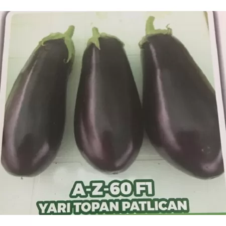 Az-60 F1 Yarı Topan Patlıcan Fidesi - 216 Adet