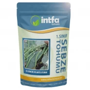 Fasulye Tohumu 40 Günlük Amerikan - Atlantis (Oturak) - 10 Kg