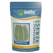 Fasulye Tohumu - Cino (Oturak) - 100 Kg