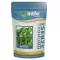 İri Yaprak Maydonoz Tohumu - 1 kg