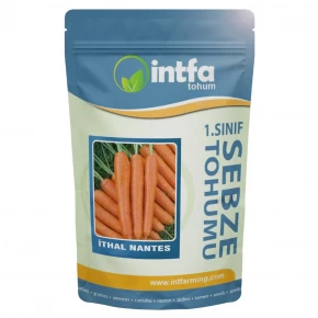 İthal Nantes Havuç Tohumu - 1 kg