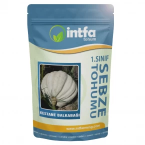 Kestane Balkabağı Tohumu - 1 kg