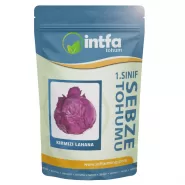 Kırmızı Lahana Tohumu - 500 Gr