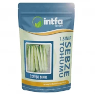 Fasulye Tohumu - Öz Ayşe (Sırık) - 10 Kg