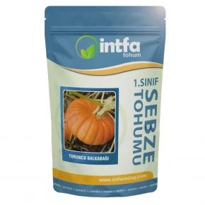 Turuncu Balkabağı Tohumu - 1 Kg