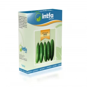 Salatalık Tohumu Beith Alpha - 100 gr