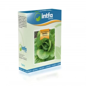 Marul Tohumu İthal Yedikule - 100 gr 