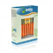 Havuç Tohumu Nantes - 100 gr