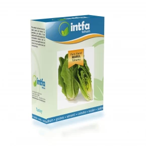 Marul Tohumu Paris İsland - 100 gr 