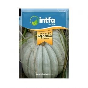 Arıcan 97 Beyaz Balkabağı Tohumu - 10 gr