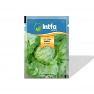 Marul Tohumu Baş Salata - 50 gr 