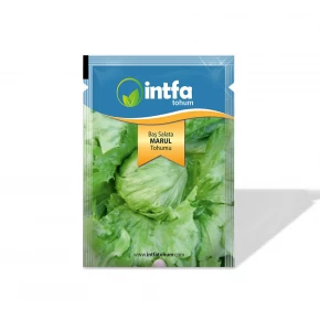 Marul Tohumu Baş Salata - 5 gr 