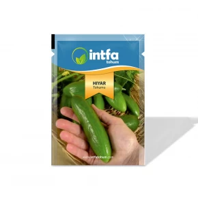 Salatalık Tohumu Çengelköy - 10 gr