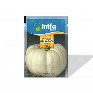 Balkabağı Tohumu Dev Beyaz - 25 gr