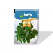 Roka Tohumu Geniş Yapraklı - 25 gr