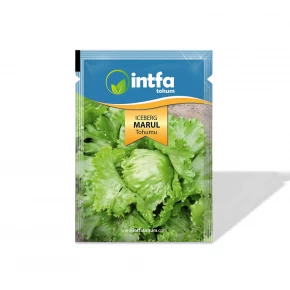 Marul Tohumu İceberg - 5 gr