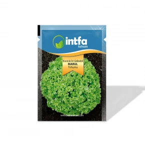 Marul Tohumu Kıvırcık İri Göbekli - 10 gr