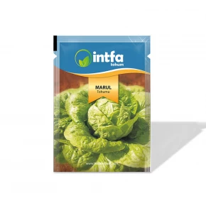 Marul Tohumu İri Göbekli - 10 gr