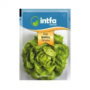 İthal Marul Tohumu - 25 gr 