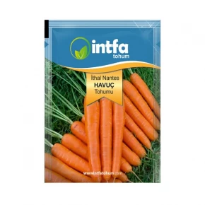 İthal Nantes Havuç Tohumu - 10 gr
