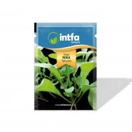 Roka Tohumu İthal - 10 gr