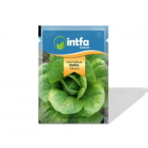 Marul Tohumu İthal Yedikule - 10 gr 