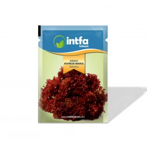 Marul Tohumu Kırmızı Kıvırcık - 5 Gr