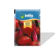 Kırmızı Pancar Tohumu - 25 gr