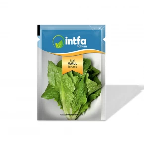 Marul Tohumu Lital - 10 gr