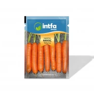 Havuç Tohumu Nantes - 10 gr