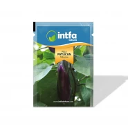 Patlıcan Tohumu Pala - 10 gr