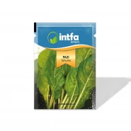 Pazı Tohumu  - 10 gr