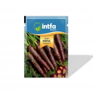 Siyah Havuç Tohumu - 10 gr