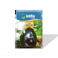 Patlıcan Tohumu Topan - 10 gr